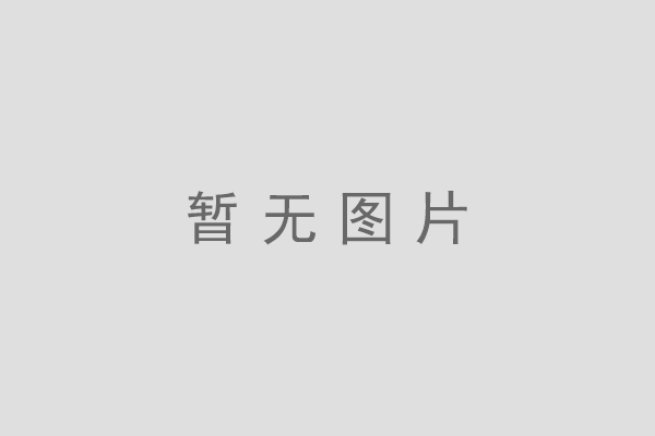 高速直线式全自动吹瓶机-飞鸽友联